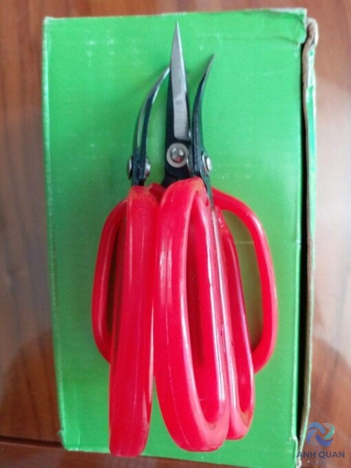 4195ff3b26a4c7fa9eb5