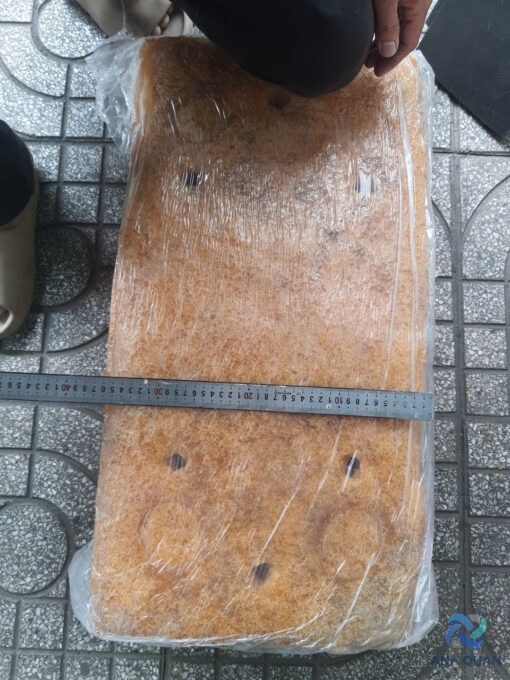 z6122735033052_d166ebdb5ab7f627568ab927cc581d53