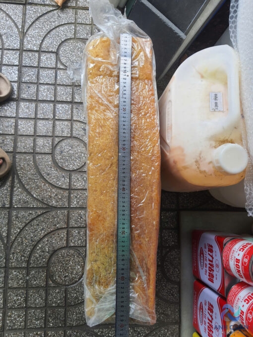 z6122735034181_8ba6cc2355bd41719e616346fdbf33bb