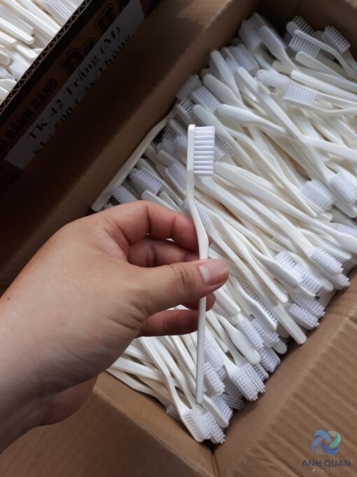 z2525316693769_3ae9b8a1497472fe9ce07ed9fa797c66