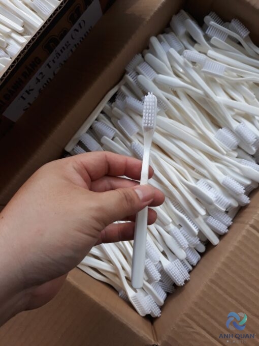 z2525316711259_6450ac19f0aed1acd8d3574d806270f8