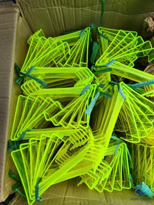 z4688800113667_6f6903415923cc995df58da825ffb52b