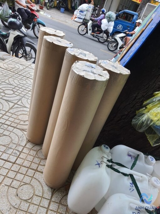 z4019953835880_566520a913b148a4844fedf422db7f87