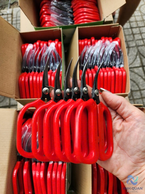 z6141419679955_8fcf2ea414129a67a03e17b165132a82