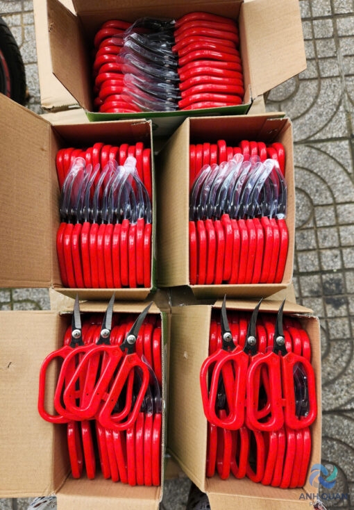 z6141419713954_a73d36b579a79d0c0b276e2dee8beef3