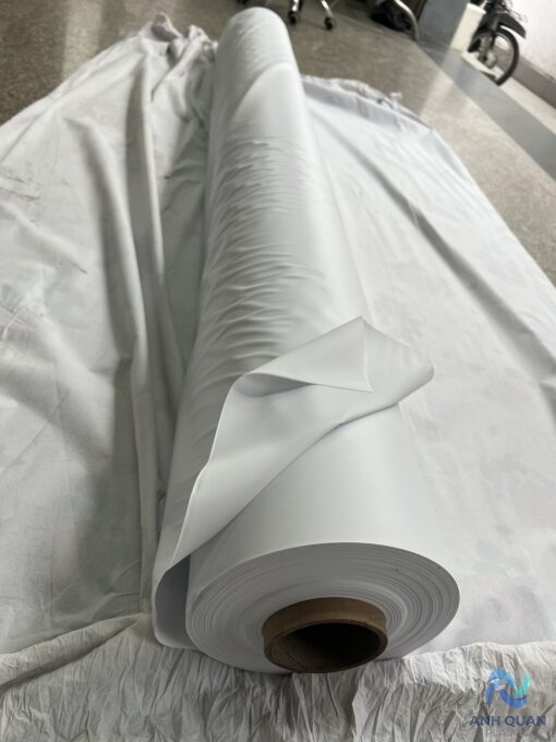 z5404368314975_6751fd4ca4dc31b2504459455219cd16