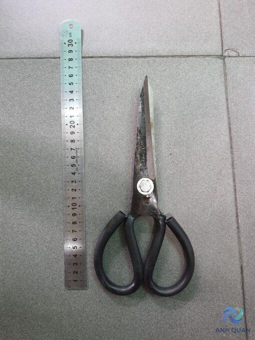 z3610002134971_a03b07b5bdf1479c24fe4e563a58a464