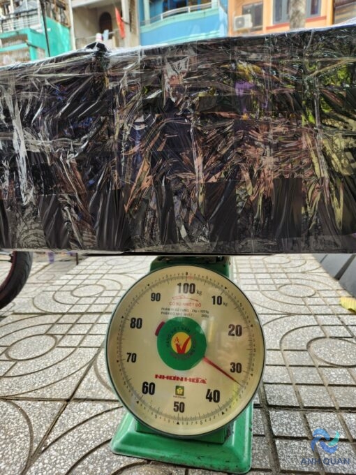 z4667604595002_4e543d18dbd7ed78d7c7df7cc5cf0a25