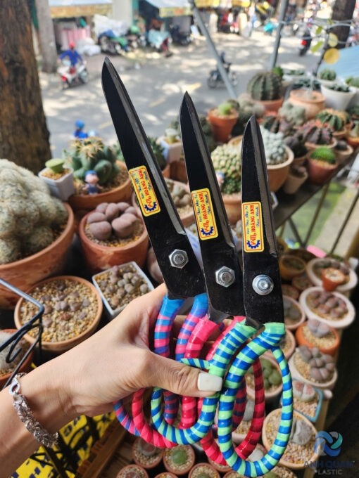 z5951746798961_2f88862ecd3e87c628e2c8ab30697339