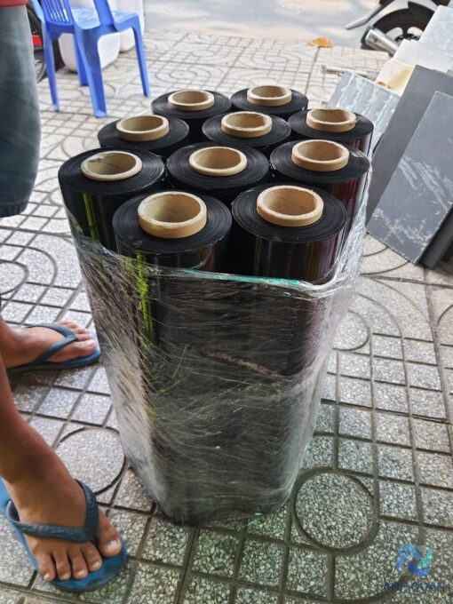 z5247285286693_6ed9b403c63b250771b2e02e255500a1